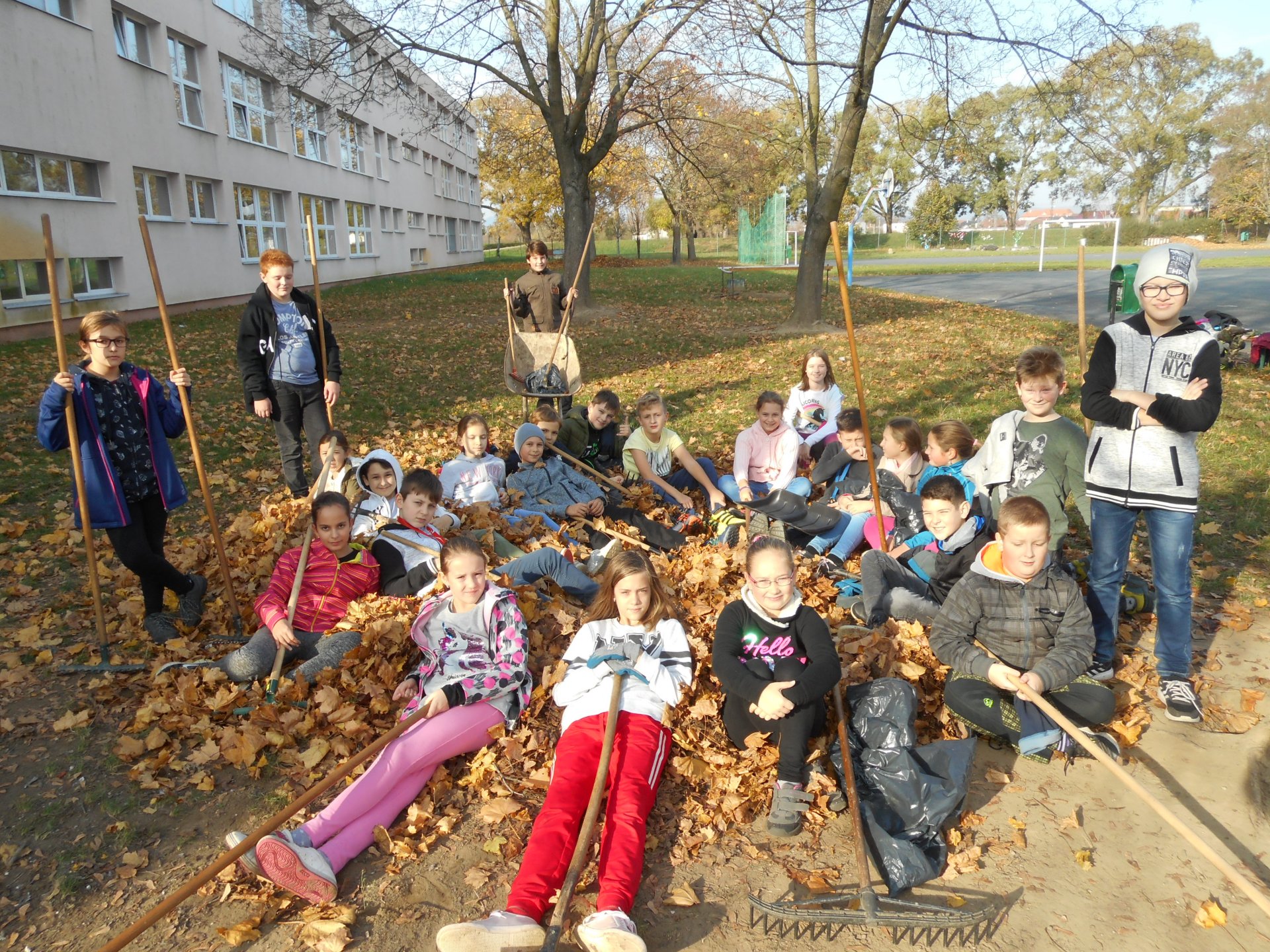 Hrabeme listí na školním pozemku