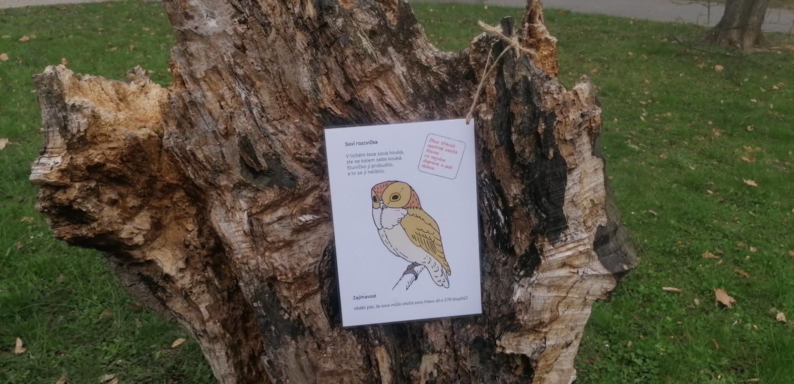 Den Země - Smetanovy sady