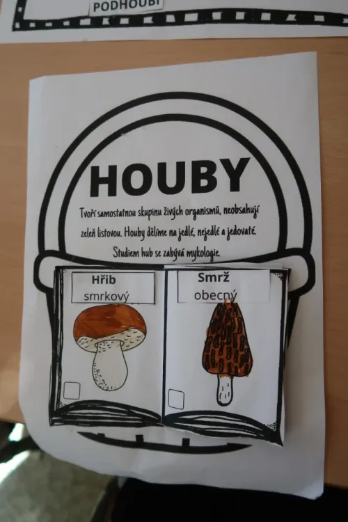 HOUBY