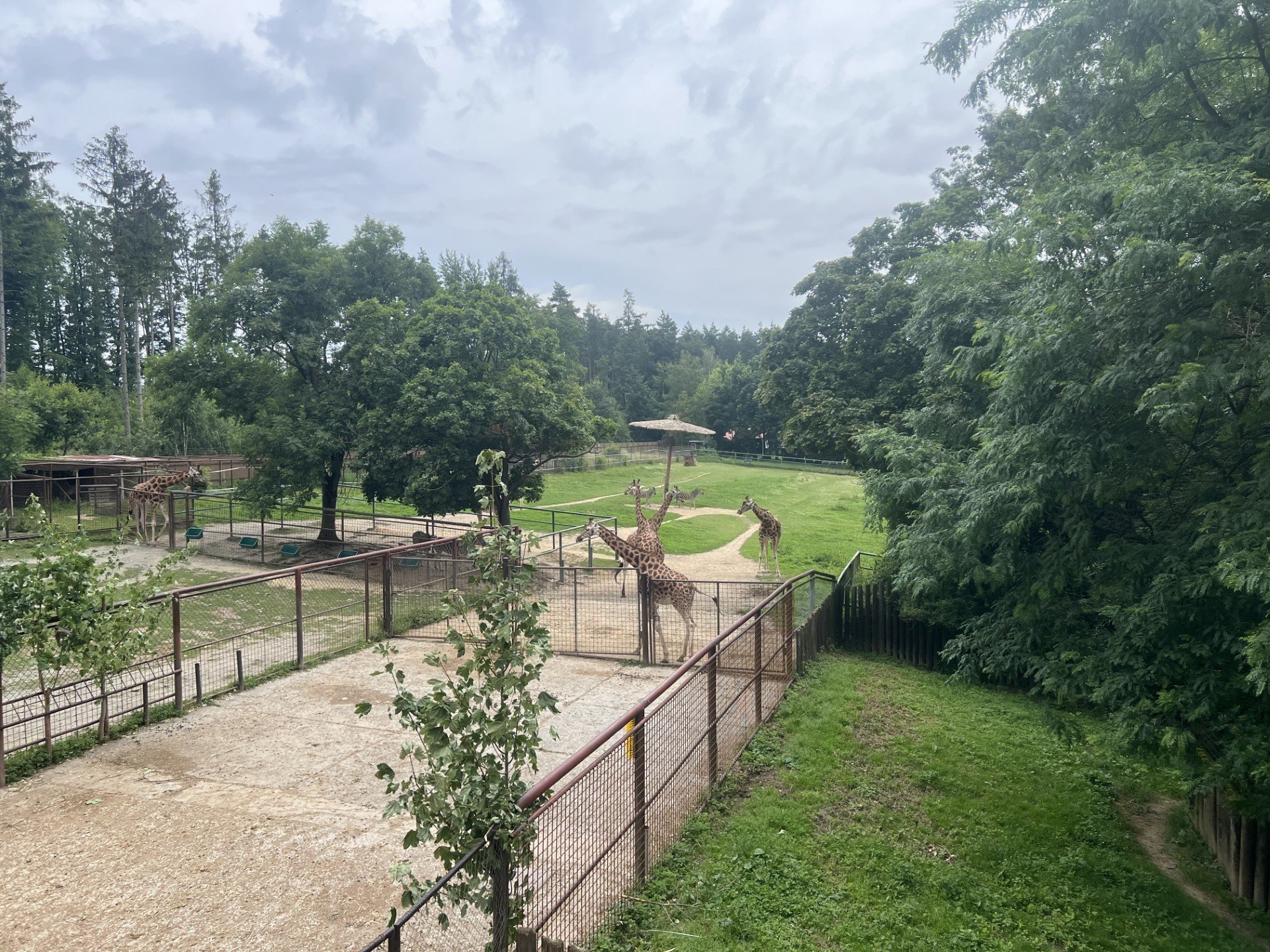 ZOO Olomouc