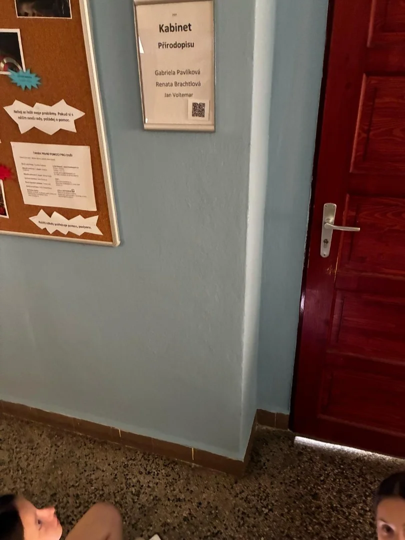Virtuální houbaření