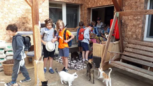 Školní rok 2022/2023