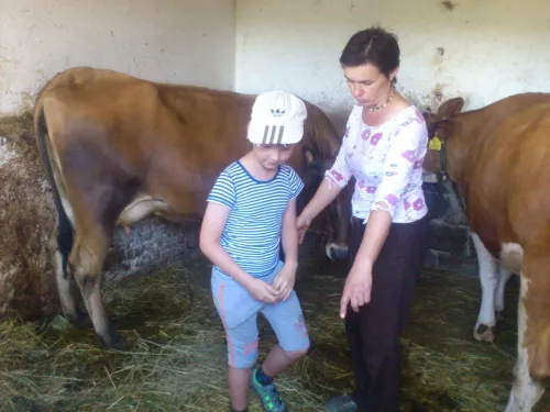 Školní rok 2016/2017