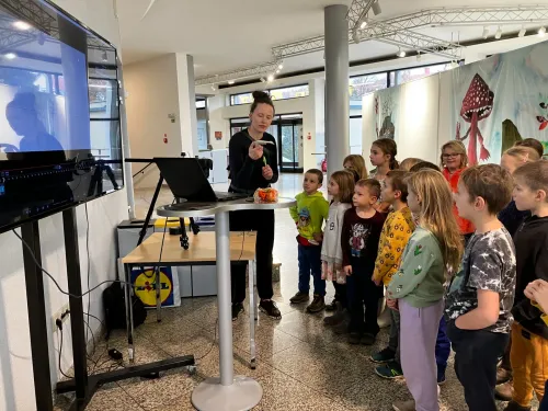 Školní rok 2024/2025