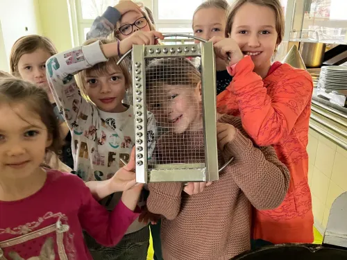 Školní rok 2024/2025