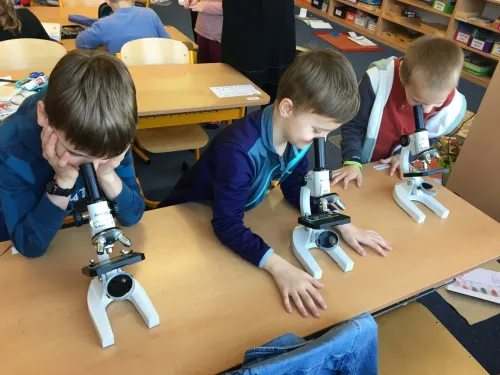 Školní rok 2022/2023